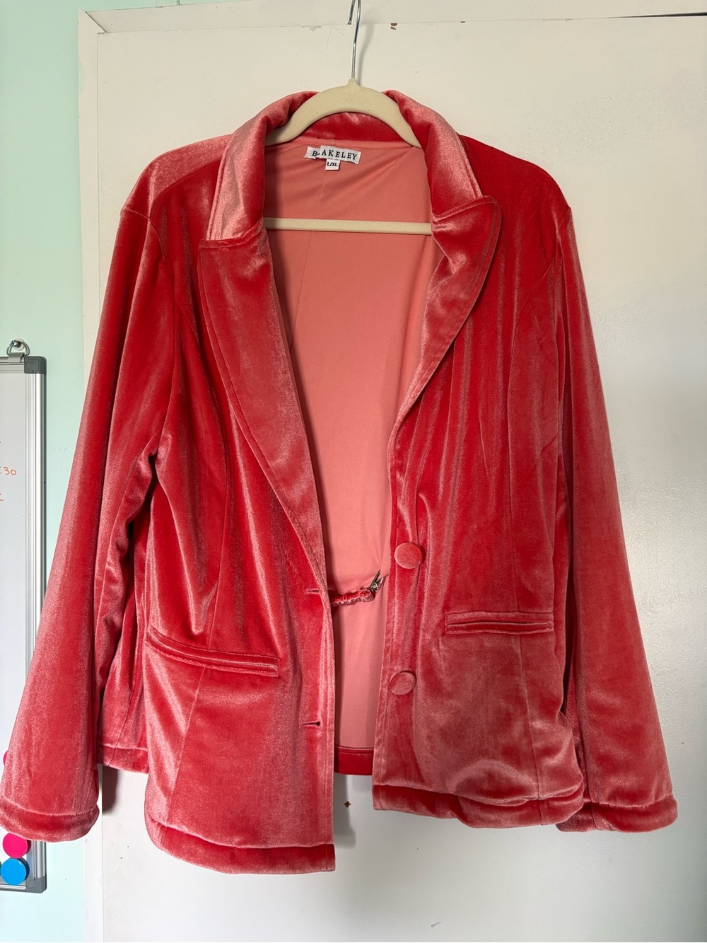 Bakely Coral Velvet Blazer Jacket